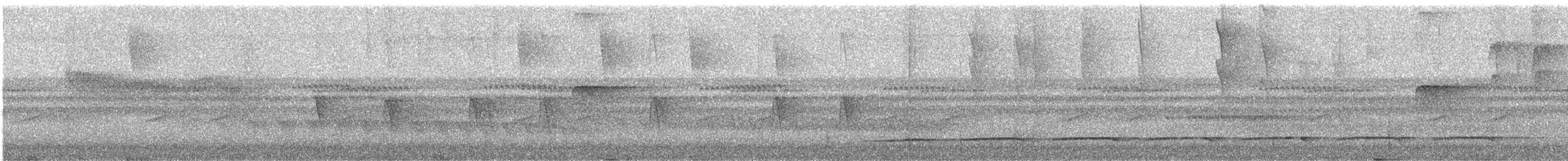 Blackish Pewee - ML510594691