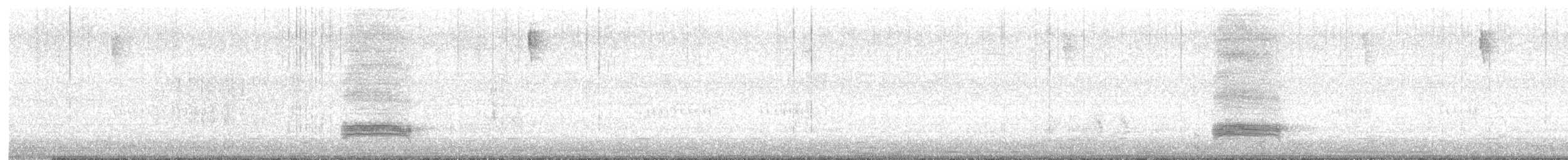 黑領椋鳥 - ML510613901