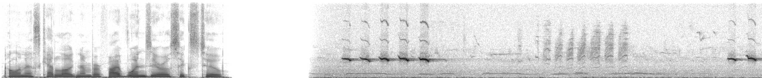 Black-crested Titmouse - ML51062