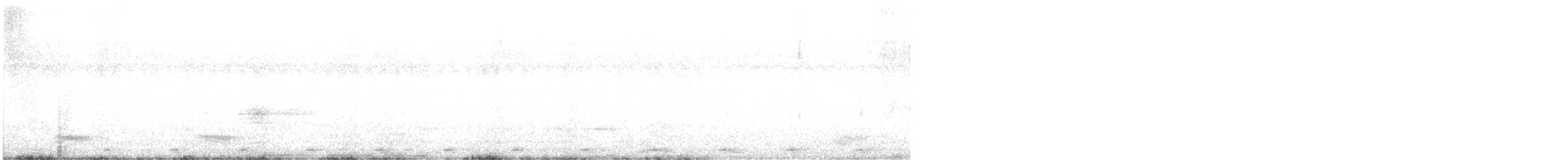 Malabar Barbet - ML510652221