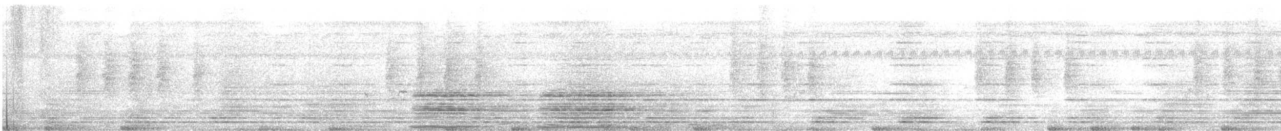 dvergedderkoppjeger - ML510652321