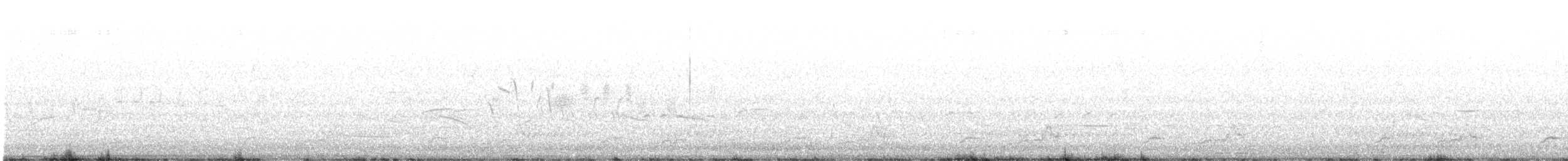 Schwarzkehl-Nachtschwalbe - ML510673511
