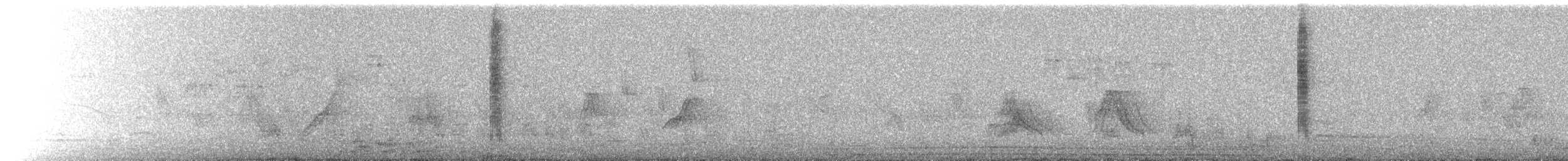 Колібрі-довгохвіст смарагдовий - ML510687651