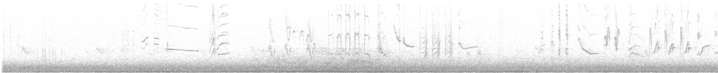 Lesser Goldfinch - ML51072001