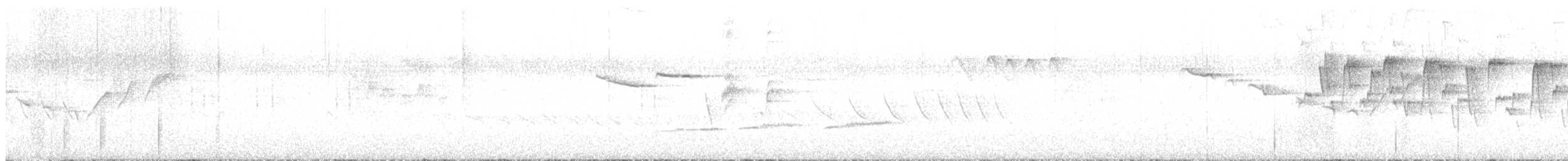 Forest Rock-Thrush (Forest) - ML510739861