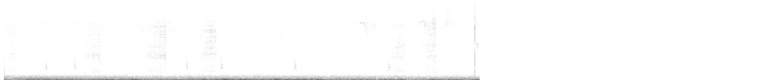 Дрізд-короткодзьоб плямистоволий - ML510754561