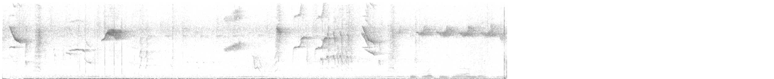 Шама мадагаскарська (підвид pica) - ML510759651
