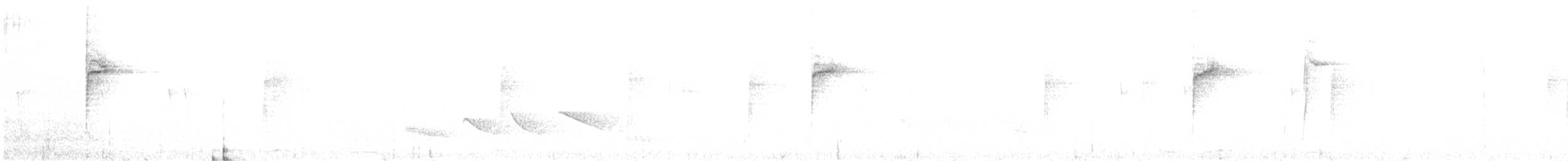 Paruline à paupières blanches - ML510962921
