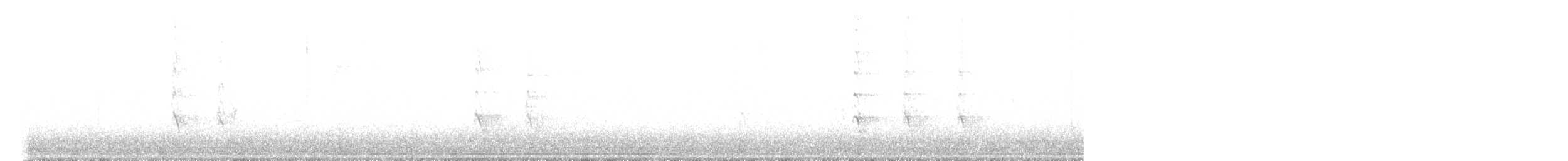 Гіла каролінська - ML510989011