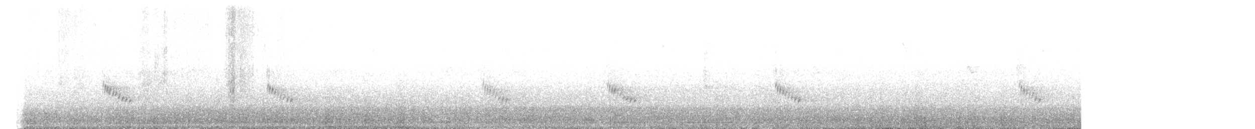 Каролинский крапивник - ML510989911