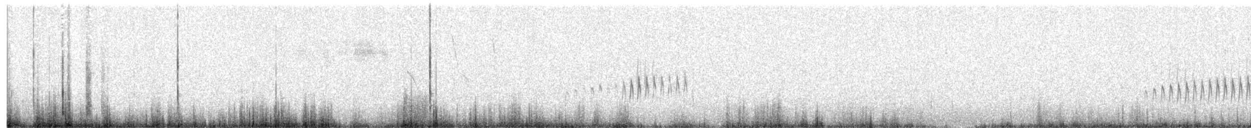 Synallaxe des rocailles - ML511006901