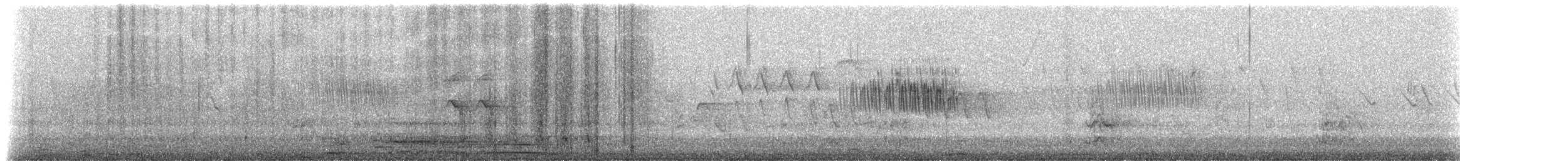 Fleckentaube (albipennis) - ML511067581