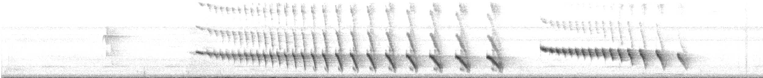 smekkemaurfugl - ML511072671