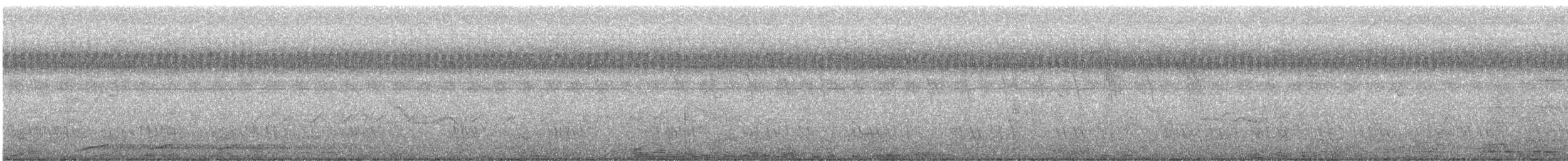 Barbu à oreillons noirs - ML511101351