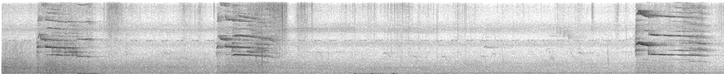 Indian Gray Hornbill - ML511142951
