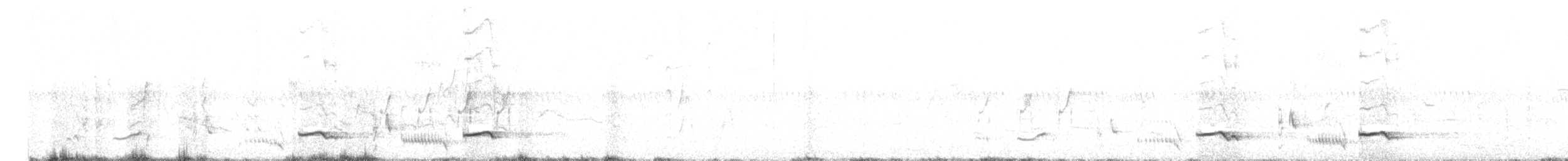 hvitbryntrosteskvett - ML511168981