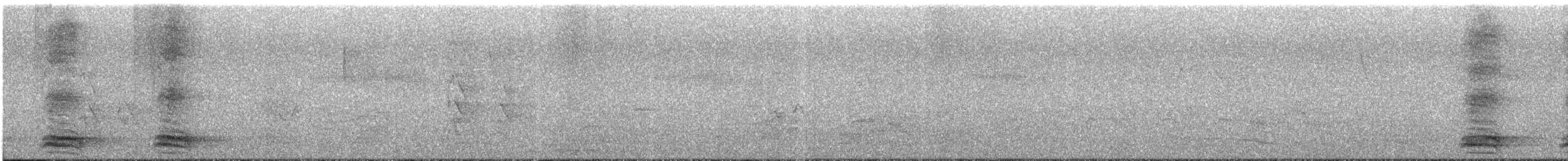 tykknebbkråke (culminatus) (indiakråke) - ML511180131