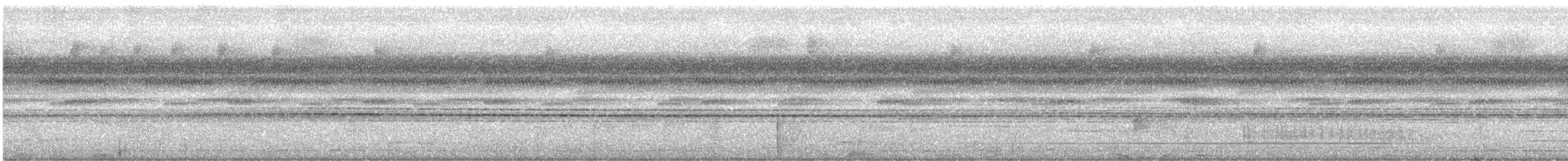 クロアカヤイロチョウ - ML511190201