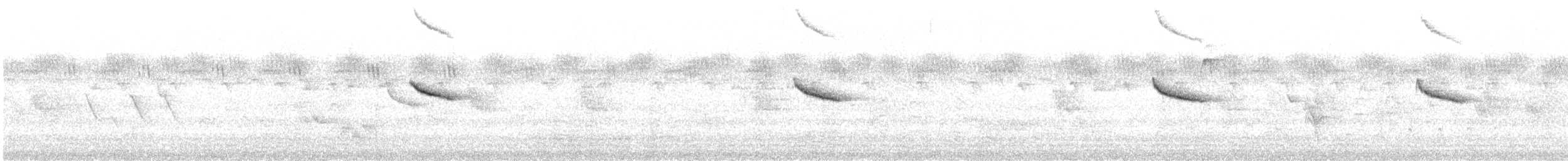Вівсянка білоброва (підвид orientalis) - ML511191051