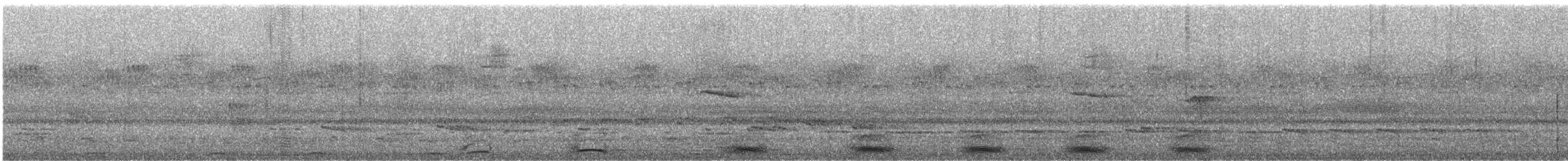 Schalow's Turaco - ML511192401