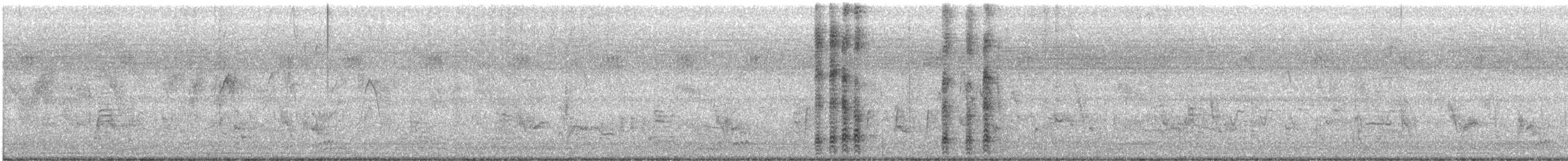 Grünbaumhopf - ML511197671