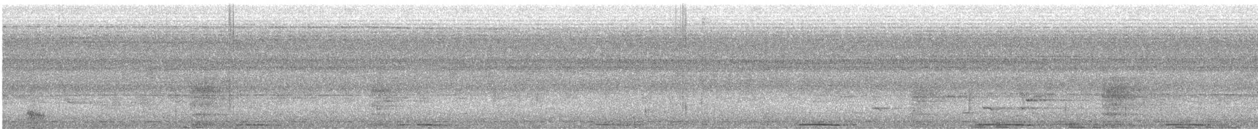 Bornean Ground-Cuckoo - ML511233501