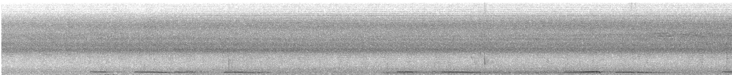 Борнейская воронья кукушка - ML511233521