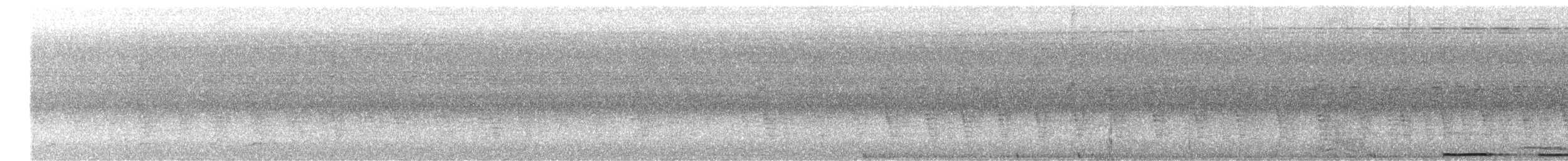Bornean Ground-Cuckoo - ML511233551