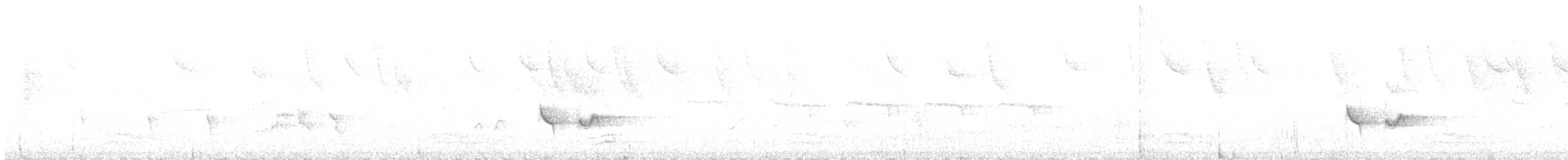 Rostbauch-Ameisenfänger - ML511238031