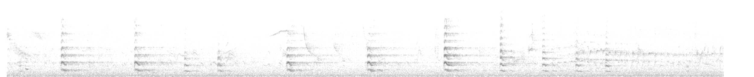 Kopetazuri arrunta - ML511252431