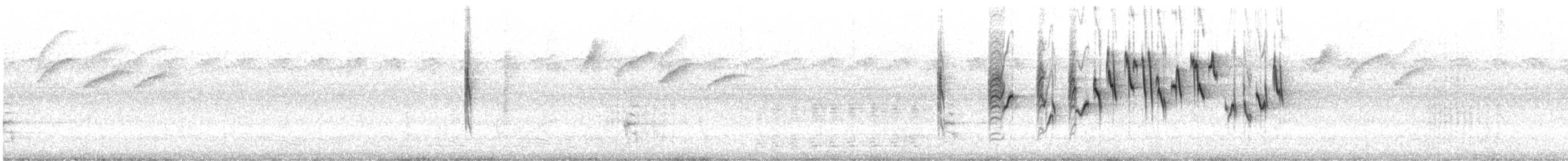 Белобрюхая нектарница - ML511264171
