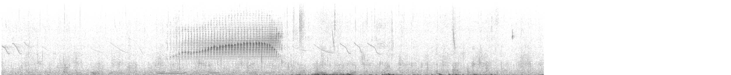 Canastero Austral - ML511319681