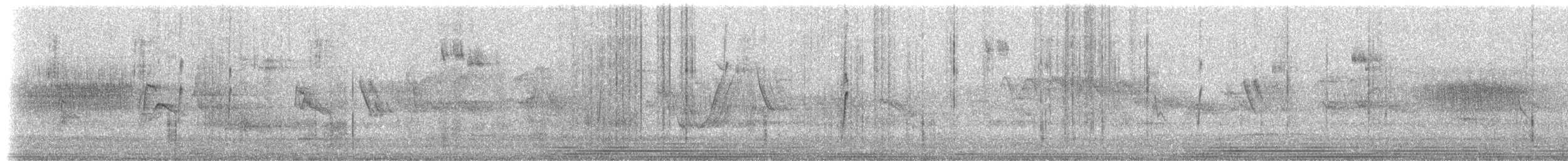 Percefleur à gorge noire (brunneiventris) - ML511344611