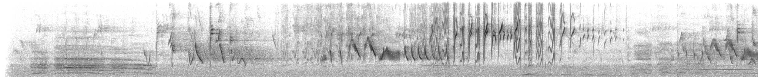 Percefleur à gorge noire (brunneiventris) - ML511345221