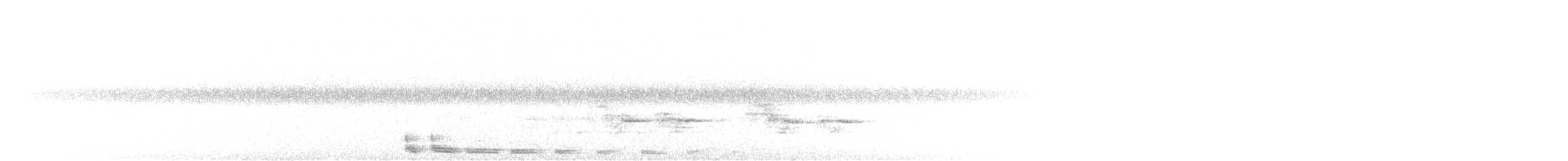 Kara Gagalı Guguk - ML511347371