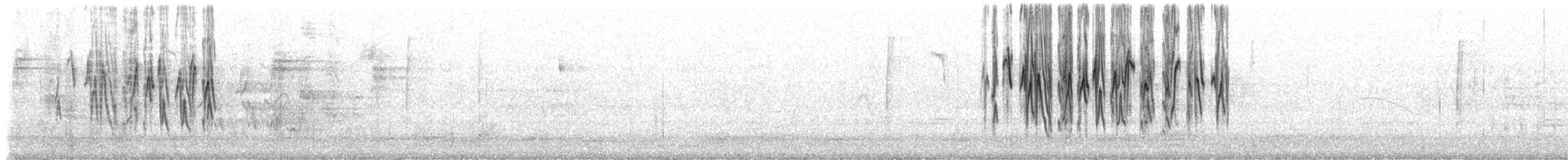 Квіткокол чорногорлий (підвид brunneiventris) - ML511348521