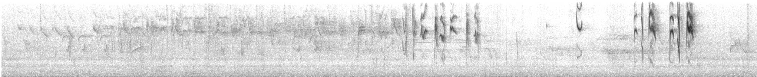 Серый конусоклюв (cinereum/littorale) - ML511348861