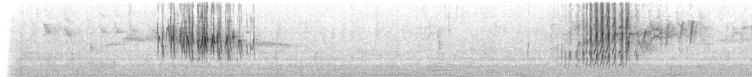 ノドグロハナサシミツドリ（brunneiventris） - ML511348891