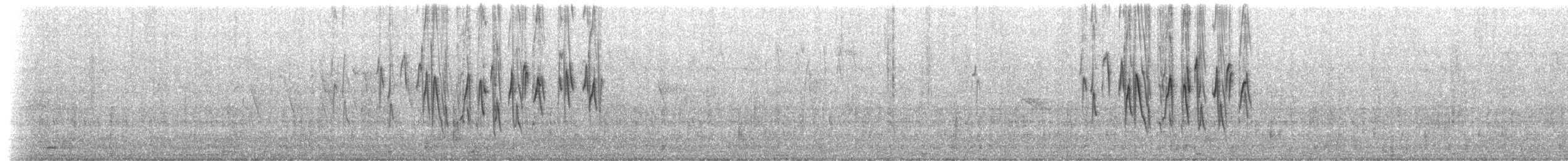 ノドグロハナサシミツドリ（brunneiventris） - ML511349211