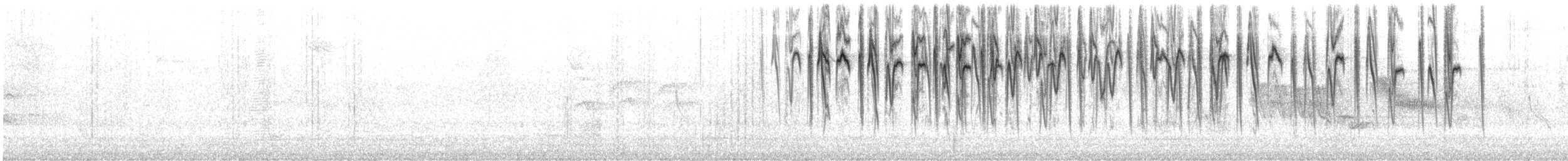 Серый конусоклюв (cinereum/littorale) - ML511354341