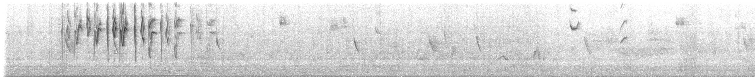 Тамаруго сірий (підвид cinereum/littorale) - ML511354361
