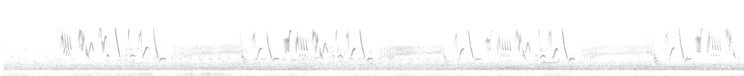 Патагонский конёк [группа correndera] - ML511359951