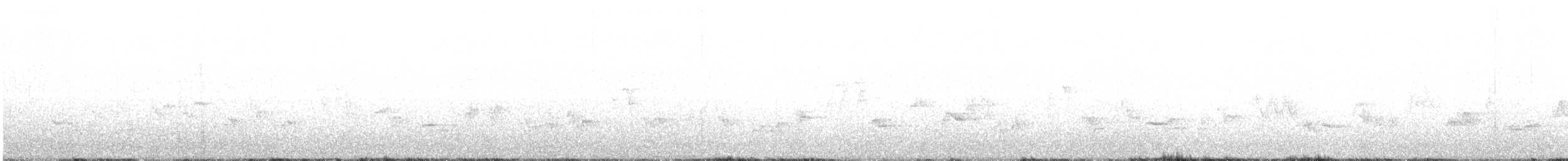 gråsolitærtrost - ML511380811