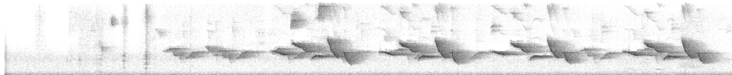Troglodyte des halliers - ML511393431