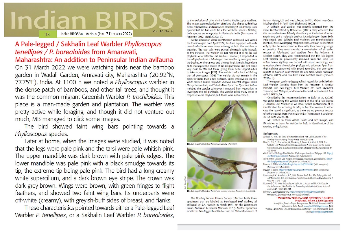 Pale-legged/Sakhalin Leaf Warbler - Manoj Bind