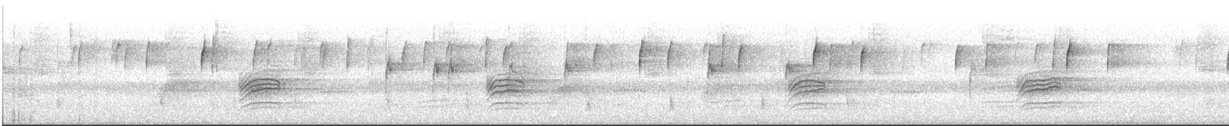 Дрізд-короткодзьоб плямистоволий - ML511463941