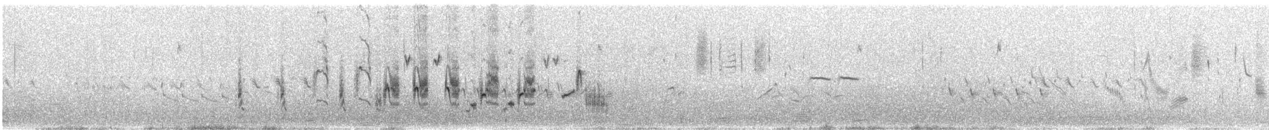 Фолклендский крапивник - ML511482531