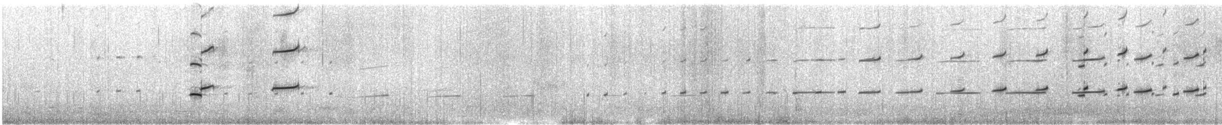 Magellanic Oystercatcher - ML511485871