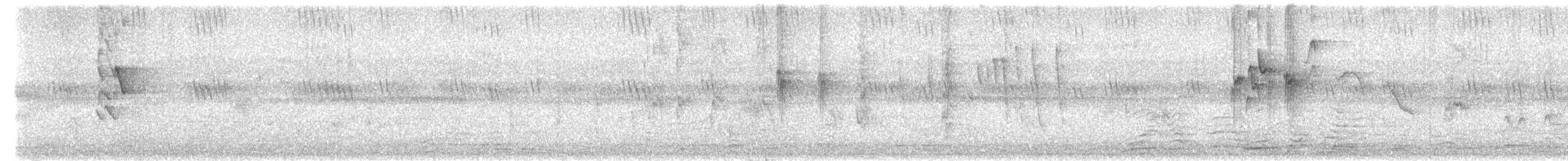 White-tailed Blue Flycatcher - ML511496001