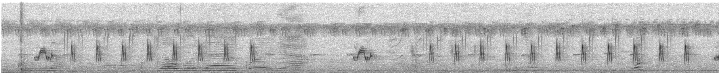 Green-backed Camaroptera - ML511501161